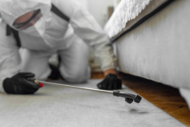 Professional Cockroach Control technician working in Cedar Springs, MI