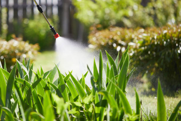 24/7 Emergency Cockroach Control experts in Cedar Springs, MI