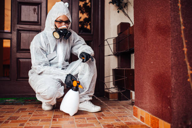 Reliable Cockroach Control contractor in Cedar Springs, MI by Nex Pest Control